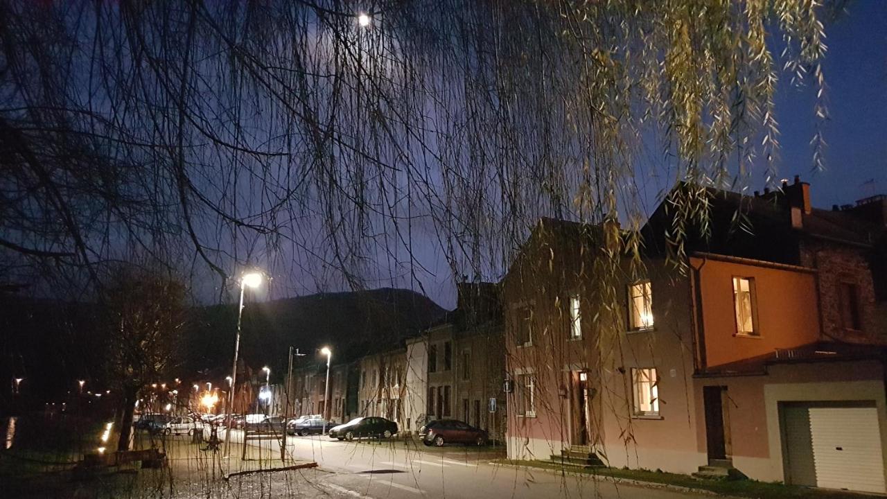 Вилла Le Balcon Sur La Meuse Revin  Экстерьер фото